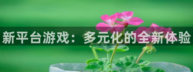 优贝娱乐网页登录入口：新平台游戏：多元化的全新体验