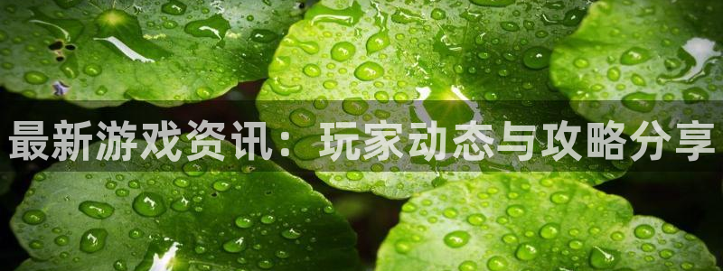 优贝娱乐平台登录线路：最新游戏资讯：玩家动态与攻略分享