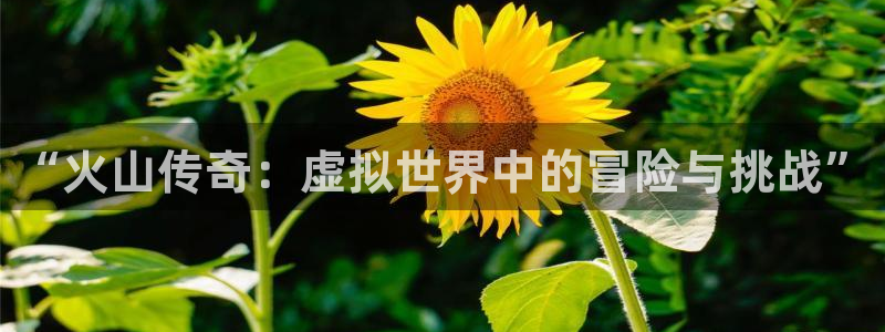 优贝娱乐科技：“火山传奇：虚拟世界中的冒险与挑战”
