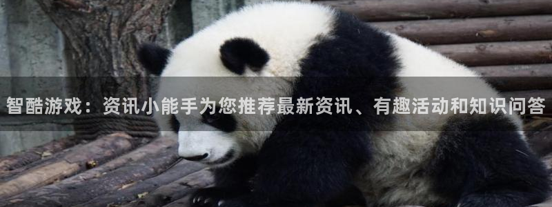 优贝娱乐平台注册：智酷游戏：资讯小能手为您推荐最新资讯、有趣