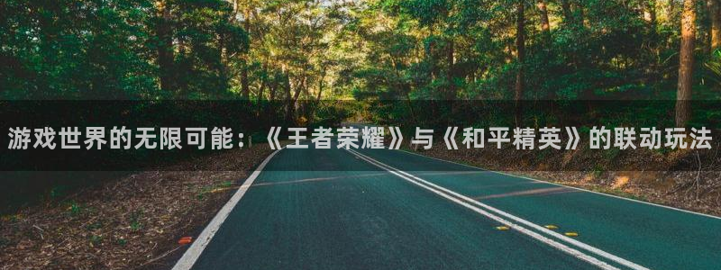 优贝娱乐平台：游戏世界的无限可能：《王者荣耀》与《和平精英》