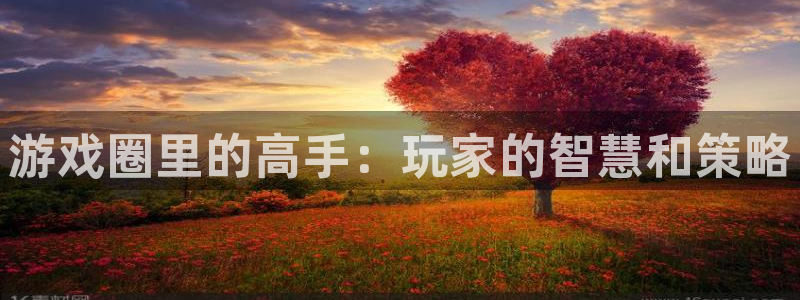 优贝娱乐注册开户：游戏圈里的高手：玩家的智慧和策略