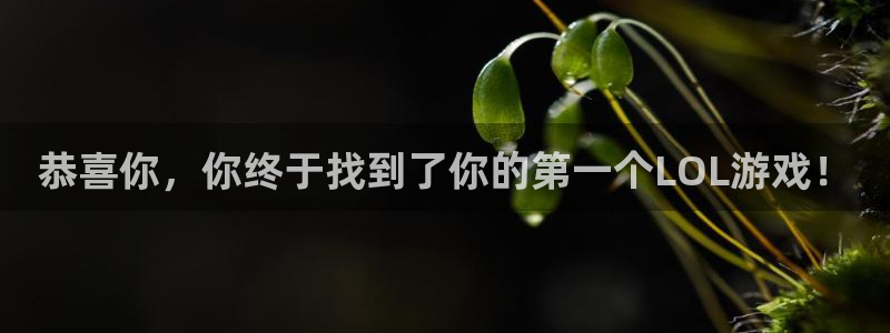 优贝娱乐2登录：恭喜你，你终于找到了你的第一个LOL游戏！